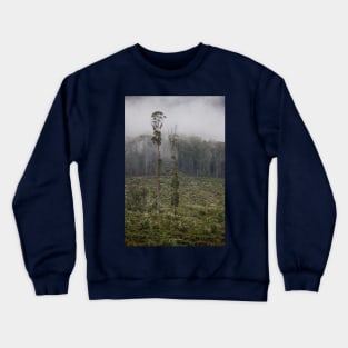 Cathedral Range, Taggerty, Victoria, Australia. Crewneck Sweatshirt